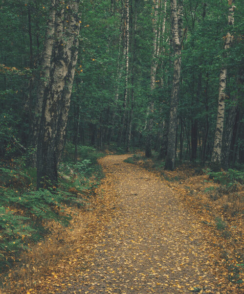 https://takproffsen.com/wp-content/uploads/2021/07/Rectangle-152.jpg
